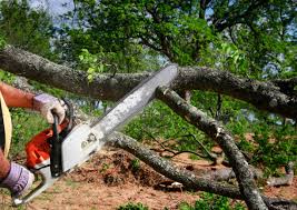 Best Tree Mulching  in Canal Winchester, OH